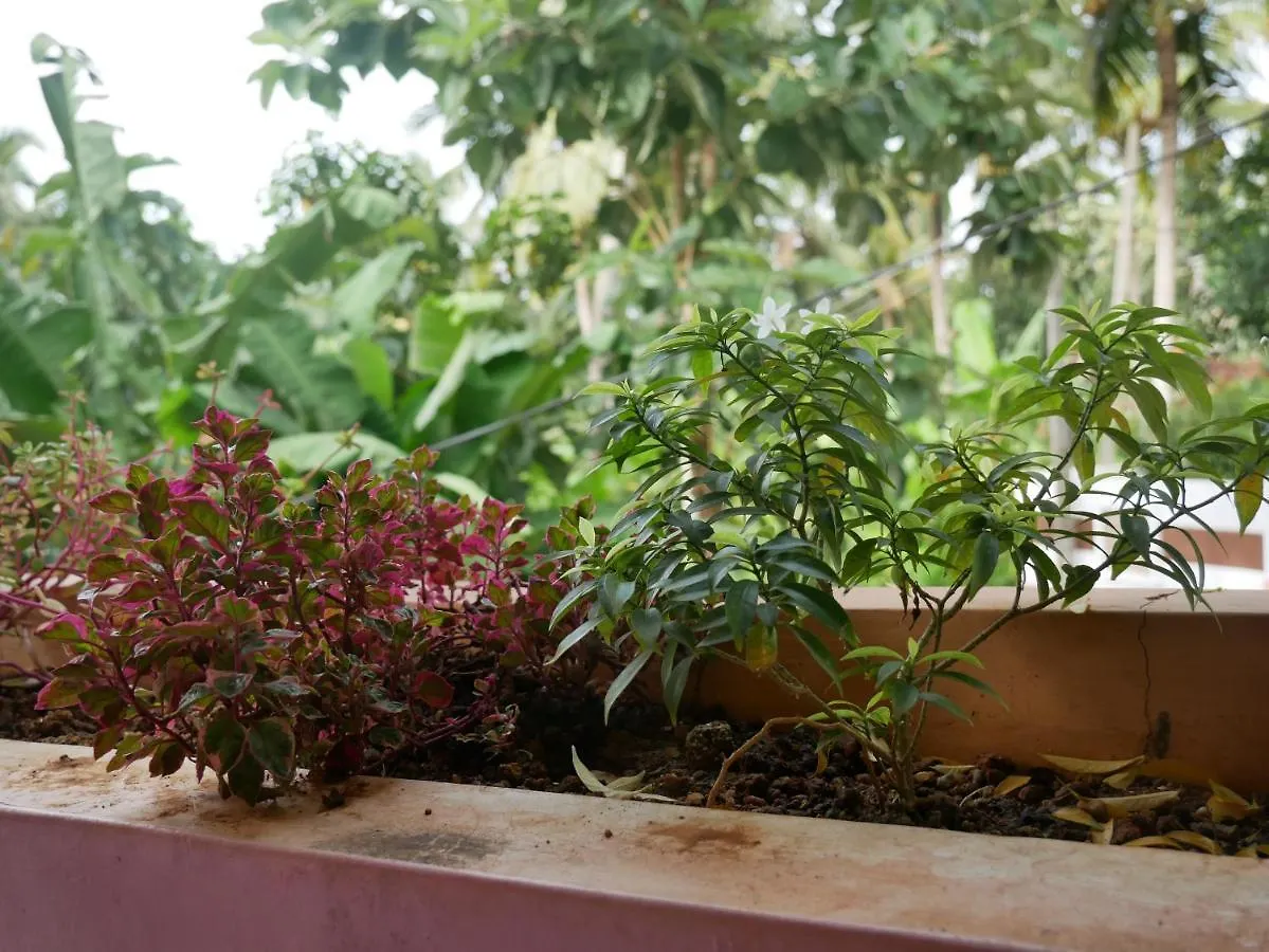 Appartamento Padmini House Kovalam 0*,  India