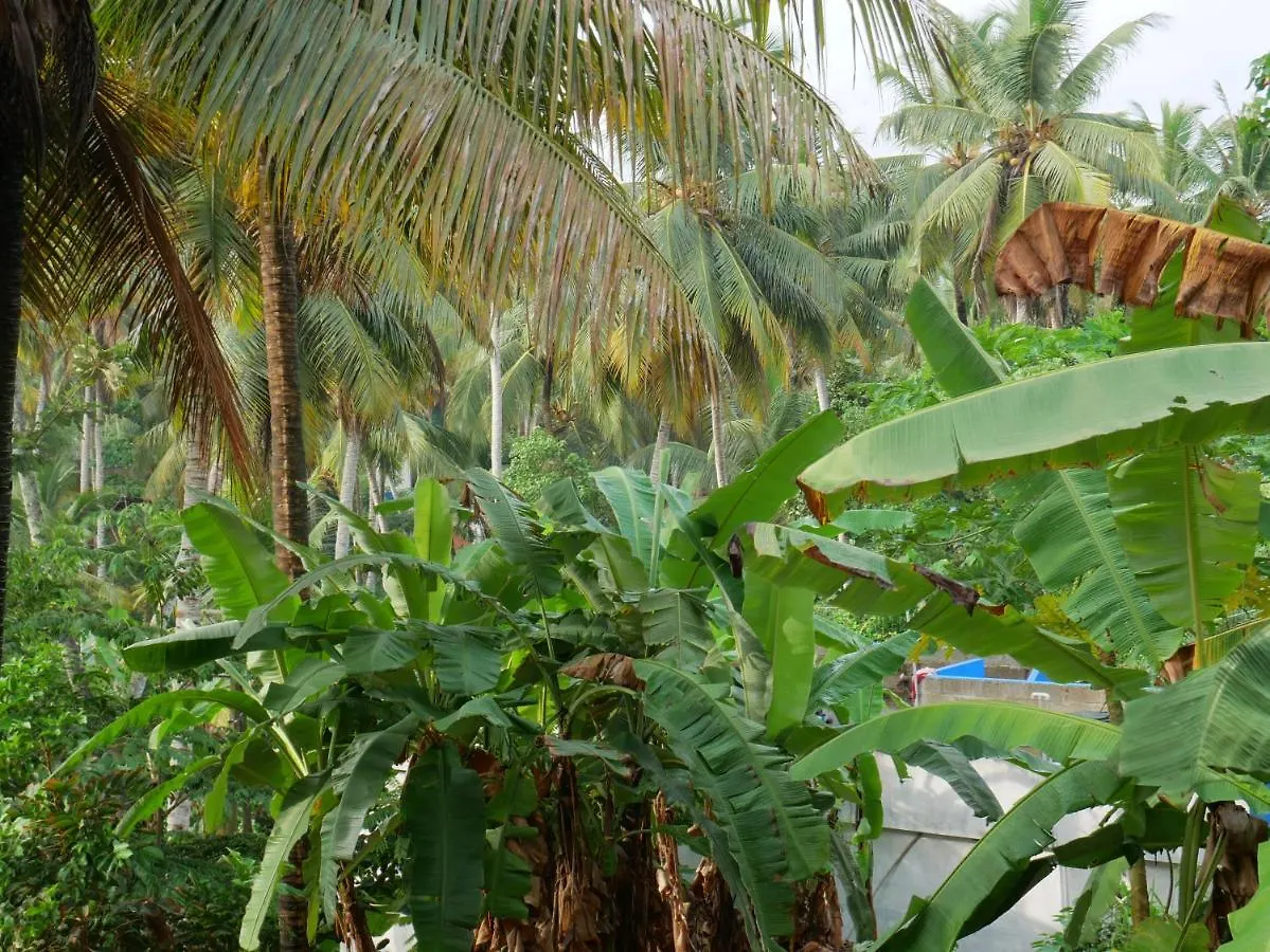 Padmini House Apartman Kovalam